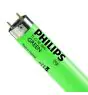 Philips MASTER TL-D 18W - Verde | 60cm